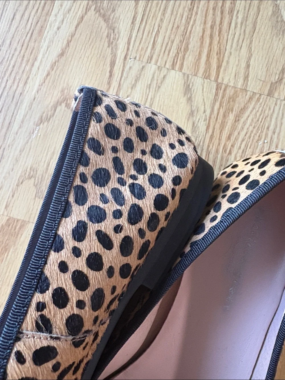 Pointed Leopard-Print Tassel Flats in Tan & Black